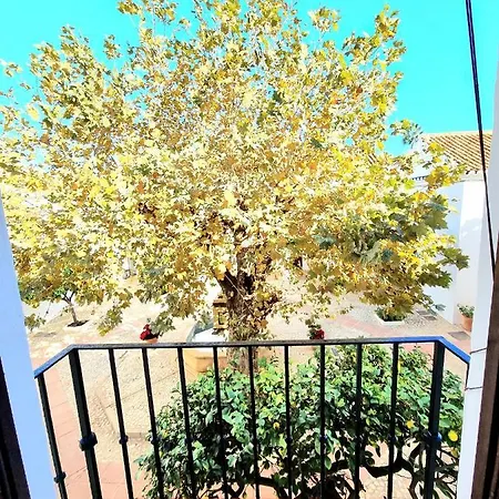 Downtown Pueblo Lopez Eco In Center Apartment Fuengirola